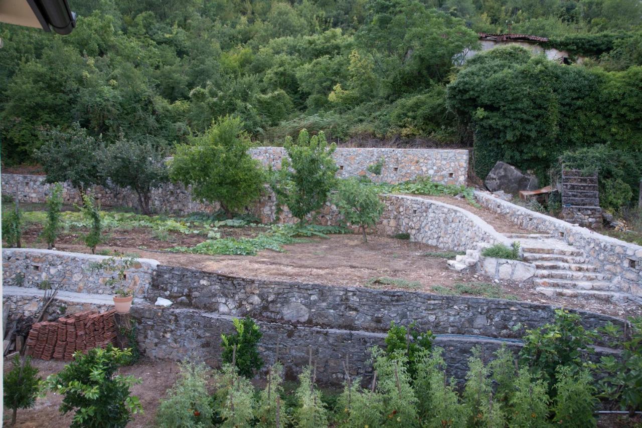 Village House Dunja Virpazar Exterior foto