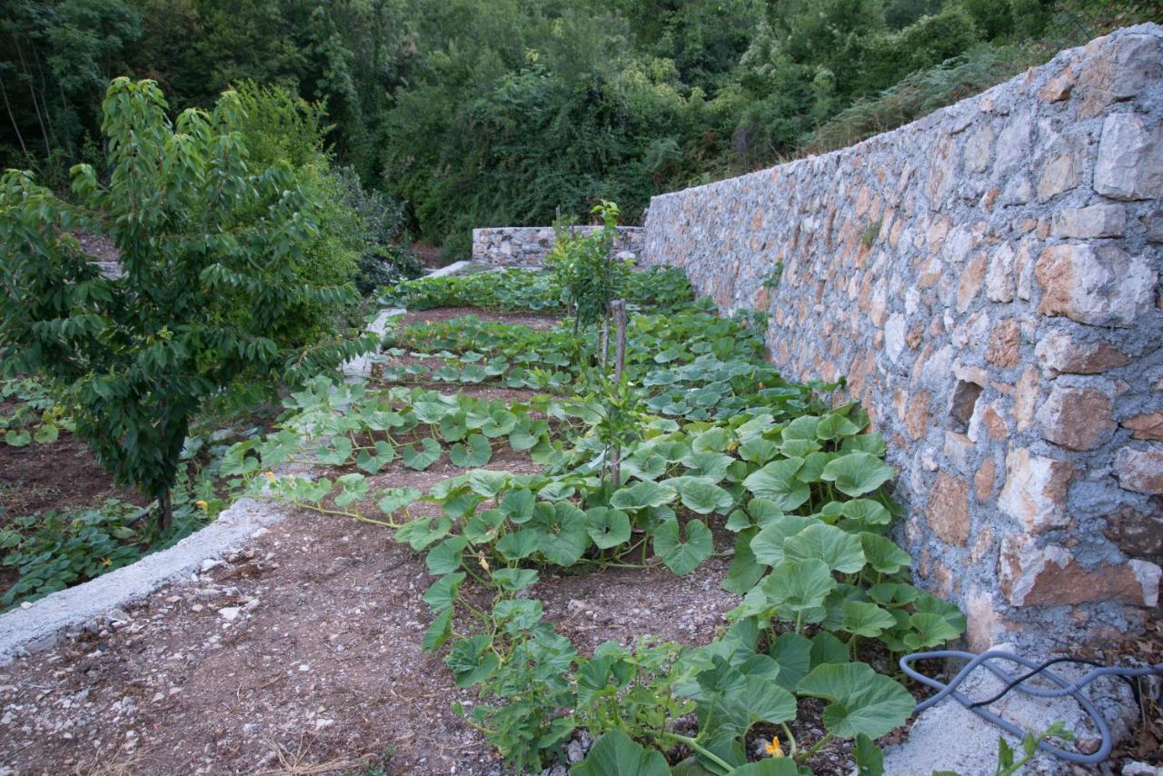 Village House Dunja Virpazar Exterior foto